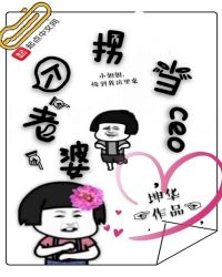 拐个老婆当ceo全集下载