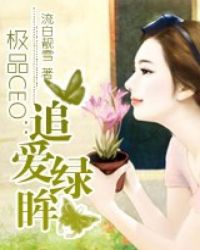 极品CEO:追爱绿眸讲什么