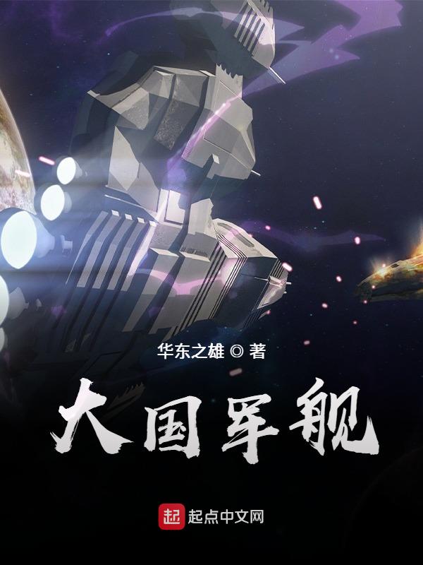 大国军舰txt下载奇书网
